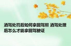 酒驾处罚后如何拿回驾照 酒驾处理后怎么才能拿回驾驶证