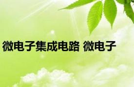 微电子集成电路 微电子 