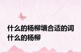 什么的杨柳填合适的词 什么的杨柳