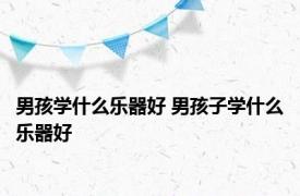 男孩学什么乐器好 男孩子学什么乐器好