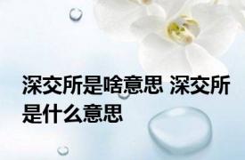 深交所是啥意思 深交所是什么意思