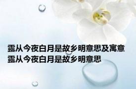 露从今夜白月是故乡明意思及寓意 露从今夜白月是故乡明意思
