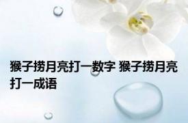 猴子捞月亮打一数字 猴子捞月亮打一成语