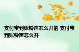 支付宝到账铃声怎么开的 支付宝到账铃声怎么开