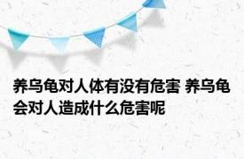 养乌龟对人体有没有危害 养乌龟会对人造成什么危害呢