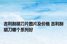吉利刮胡刀片图片及价格 吉利刮胡刀哪个系列好
