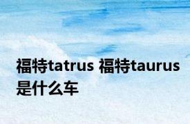 福特tatrus 福特taurus是什么车