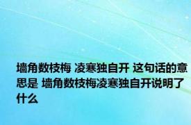 墙角数枝梅 凌寒独自开 这句话的意思是 墙角数枝梅凌寒独自开说明了什么