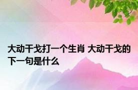 大动干戈打一个生肖 大动干戈的下一句是什么