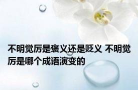 不明觉厉是褒义还是贬义 不明觉厉是哪个成语演变的