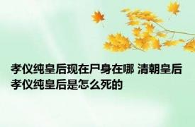 孝仪纯皇后现在尸身在哪 清朝皇后孝仪纯皇后是怎么死的