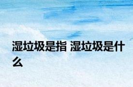 湿垃圾是指 湿垃圾是什么