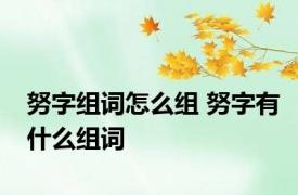 努字组词怎么组 努字有什么组词