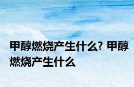 甲醇燃烧产生什么? 甲醇燃烧产生什么
