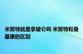 米努特就是拿破仑吗 米努特和曼基康的区别