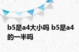 b5是a4大小吗 b5是a4的一半吗