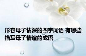 形容母子情深的四字词语 有哪些描写母子情谊的成语