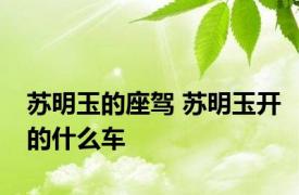 苏明玉的座驾 苏明玉开的什么车