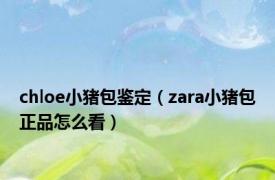 chloe小猪包鉴定（zara小猪包正品怎么看）