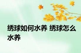 绣球如何水养 绣球怎么水养
