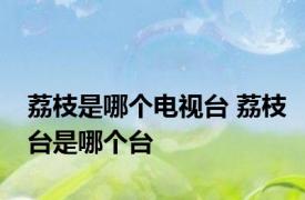 荔枝是哪个电视台 荔枝台是哪个台