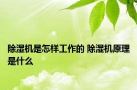 除湿机是怎样工作的 除湿机原理是什么