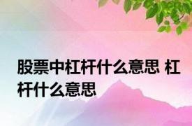 股票中杠杆什么意思 杠杆什么意思