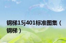 钢梯15j401标准图集（钢梯）