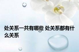 处关系一共有哪些 处关系都有什么关系