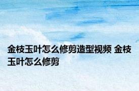 金枝玉叶怎么修剪造型视频 金枝玉叶怎么修剪