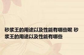 砂浆王的用途以及性能有哪些呢 砂浆王的用途以及性能有哪些