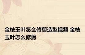 金枝玉叶怎么修剪造型视频 金枝玉叶怎么修剪