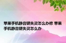 苹果手机静音键失灵怎么办修 苹果手机静音键失灵怎么办