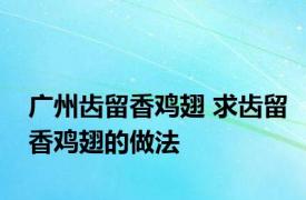 广州齿留香鸡翅 求齿留香鸡翅的做法