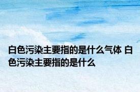 白色污染主要指的是什么气体 白色污染主要指的是什么