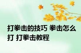 打拳击的技巧 拳击怎么打 打拳击教程