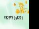 Y822Y5（y822）