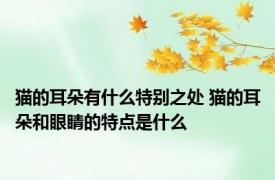 猫的耳朵有什么特别之处 猫的耳朵和眼睛的特点是什么
