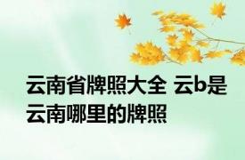 云南省牌照大全 云b是云南哪里的牌照
