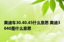 奥迪车30.40.45什么意思 奥迪3040是什么意思