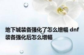 地下城装备强化了怎么增幅 dnf装备强化后怎么增幅