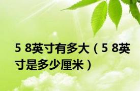 5 8英寸有多大（5 8英寸是多少厘米）