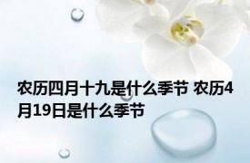 农历四月十九是什么季节 农历4月19日是什么季节