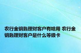 农行金钥匙理财客户有啥用 农行金钥匙理财客户是什么等级卡