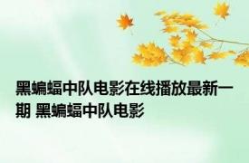 黑蝙蝠中队电影在线播放最新一期 黑蝙蝠中队电影 