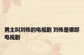 男主叫刘栋的电视剧 刘栋是哪部电视剧