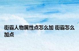 街霸人物属性点怎么加 街霸怎么加点 