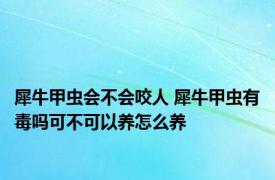 犀牛甲虫会不会咬人 犀牛甲虫有毒吗可不可以养怎么养