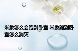 米象怎么会跑到卧室 米象跑到卧室怎么消灭