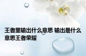 王者里输出什么意思 输出是什么意思王者荣耀